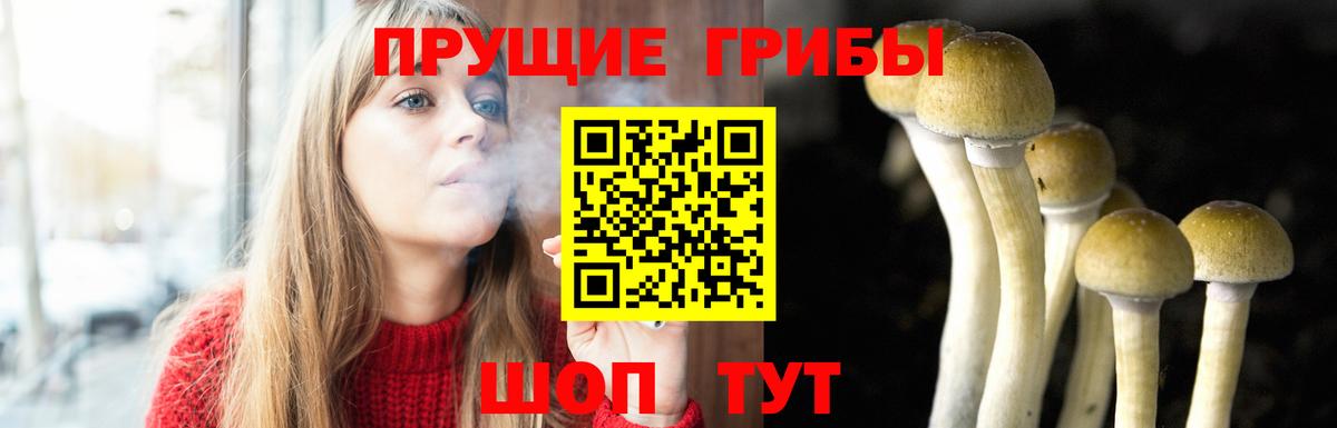 Жуковский  Псилоцибиновые грибы Magic Shrooms  Галлюциногенные грибы прущие грибы  Вход с VPN 